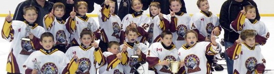 A Local Hockey Story Worth Telling: Where Were You?