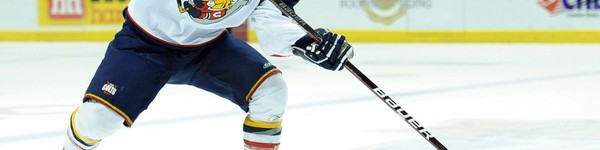TJ Brodie: Living the NHL Dream