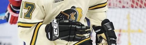 Seth Griffith: From Lacrosse Phenom to NHL Prospect