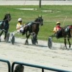 Horse-Racing-Dresden