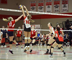 Ashley Hosfeld (10 white) blocks an opponent at the net - Contributed Photo