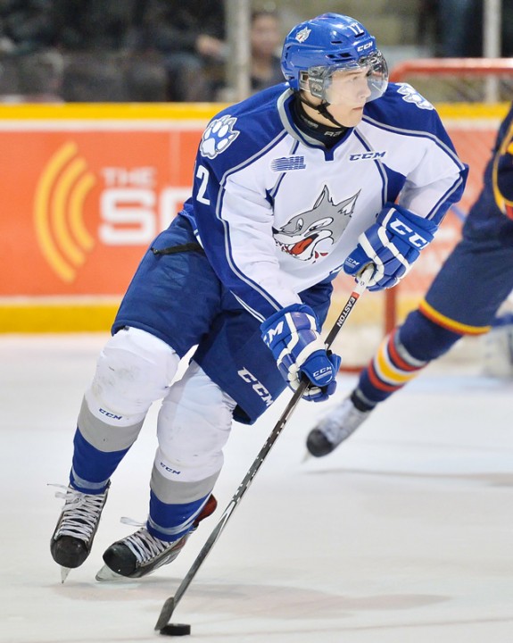 Brady Pataki Sudbury Wolves - OHL