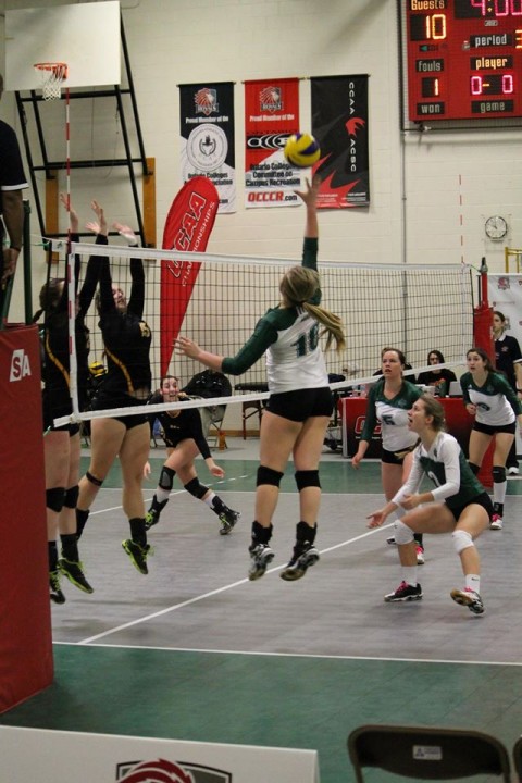 Meidlinger Strives for Success