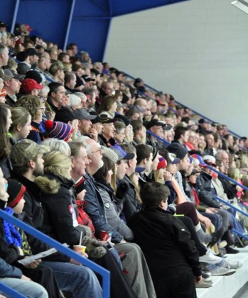 Blenheim Blades crowd