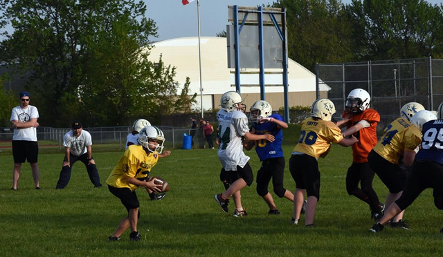 Chatham-Kent Cougars