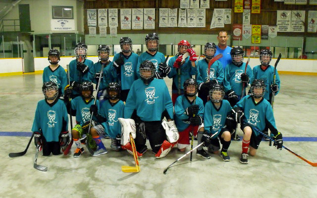 Chatham Ball Hockey League