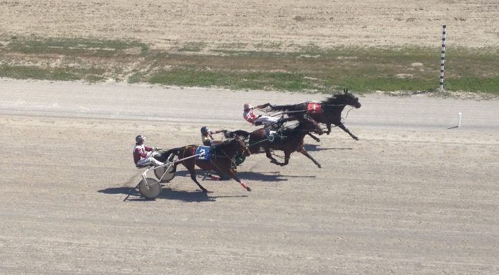 Mark Austin Pacing Series Hits Dresden Raceway