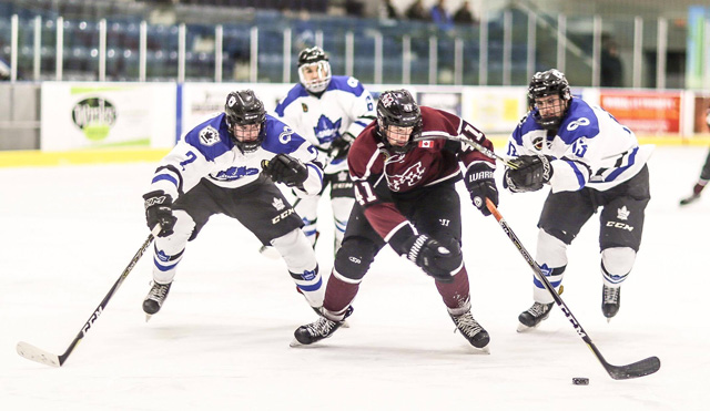 Chatham Maroons Dane Johnstone