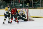 Blades Shutout Lakers