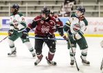 Video Highlights: St. Marys Lincolns vs. Chatham Maroons