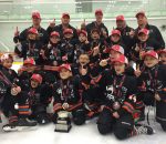 Novice AE Cobras Win OMHA Championship