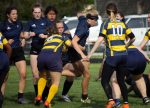 Perfect Regular Season For UCC