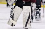 Nolan DeKoning Joins The Sarnia Legionnaires