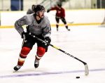 Movement Filled Offseason Expected For Local Hockey Players