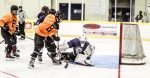 Sharks Stop Blades, Win In OT