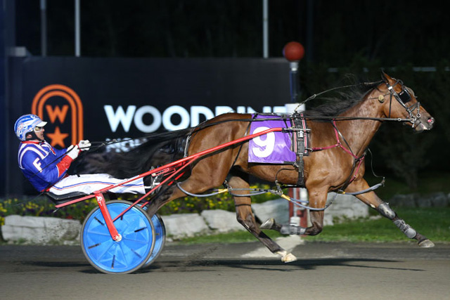 Sports Flix Harness Racing