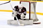 Brochu now playing pro hockey in Germany