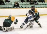 Late Comeback Keeps Lakers From Win