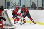 Blades Fall In Overtime
