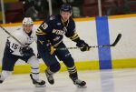 Locals, NHLers Playing In Charity 3-on-3 Tournament In Tecumseh
