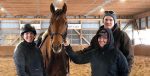 Crushin’ Hard to Vie for Title of “America’s Most Wanted Thoroughbred”