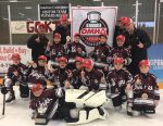 Dresden Novice Team Wins OMHA Championship