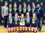 Ballhawks Hosting Free Volleyballs Clinic