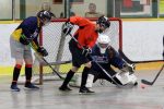 Council To Consider Repurposing Erickson And Bothwell Arenas For Non-Ice Sports This Winter