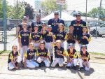 Blenheim Bees Fly To Bronze
