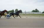 Cashmere Ivy Wins Little Saratoga Pace In Dresden