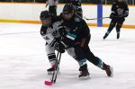 Repurposing Of Erickson And Bothwell Arenas Passed, Ice Will Be Removed From Both