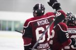 Rychel Named Western Conference Offensive Player of the Month