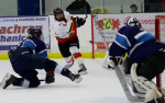 Sharks, Blades Play To A Draw