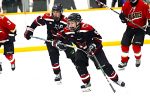 “This Year We Will Be In The Playoffs” Says The Wallaceburg Thunderhawks