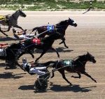 Dresden Raceway Hits 100 Fan Capacity