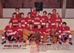 Throwback Thursday: 1981-1982 Dresden Atoms Win OMHA And Silverstick