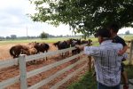 Sands’ Healing Journey Visits Spirit Horses