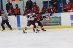 Kings Capitalize Early On Blades