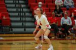 Kirby MacKinnon Starring For Denison