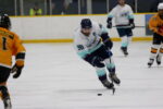 Tilbury Bluebirds swat Killer Bees 8-1