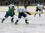 Fighting Irish knock out Bluebirds 6-5