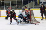 Bluebirds sweep Lakers