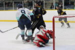 Bluebirds lead semi-final series 3-1 after splitting weekend games