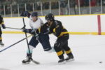 Two wins give Tilbury Bluebirds the lead in semifinals