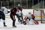 Bluebirds lead playoff series after Game 2