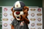 Barnstormers sell out season tickets